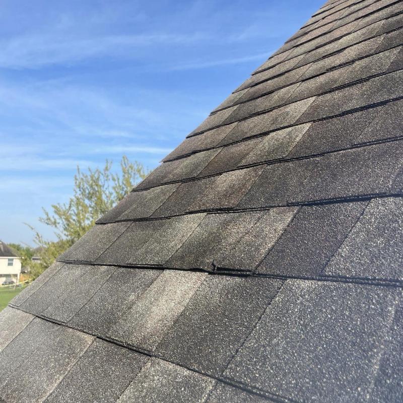 Asphalt shingle roof with lifted and loose shingles