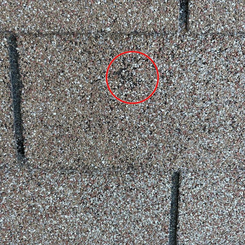 Asphalt roof shingle with hail damage spot circled in red
