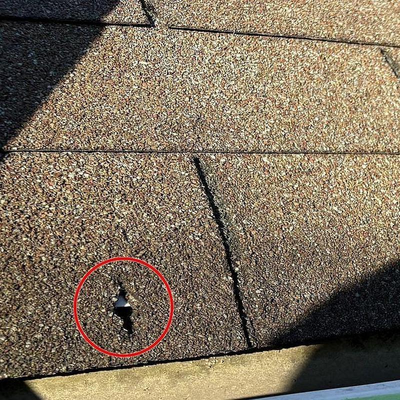 Roof asphalt shingle with hail damage hole and granule loss