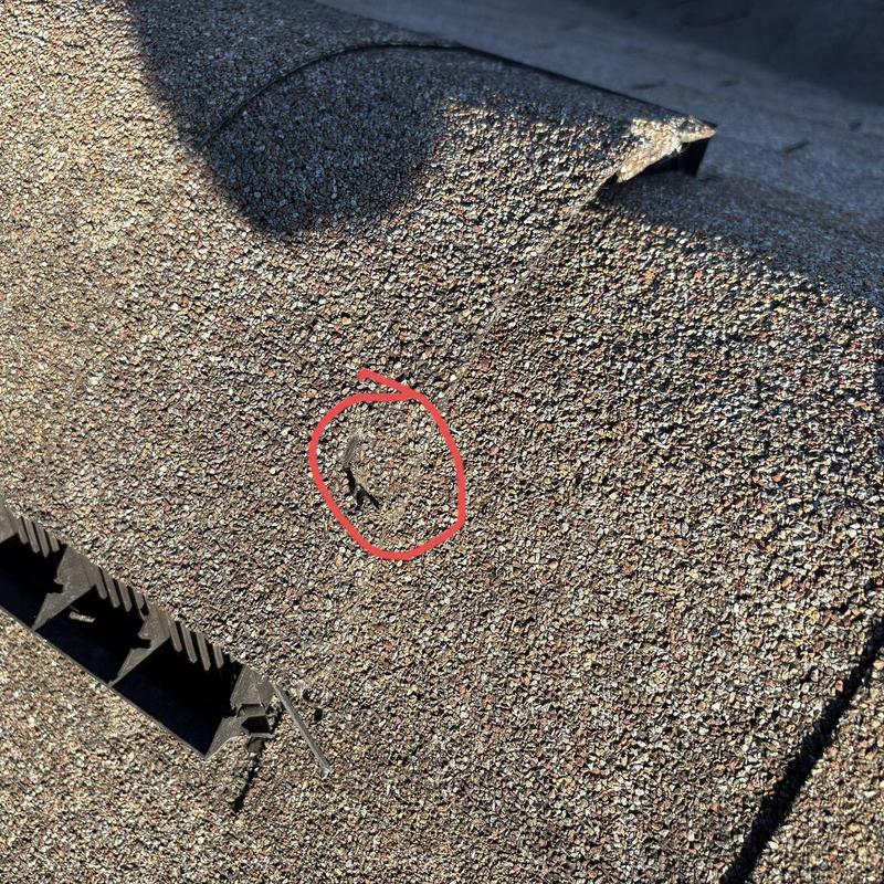 Asphalt roof shingle with wind and hail damage marked