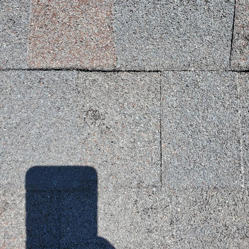 Asphalt roof shingles with hail damage marks