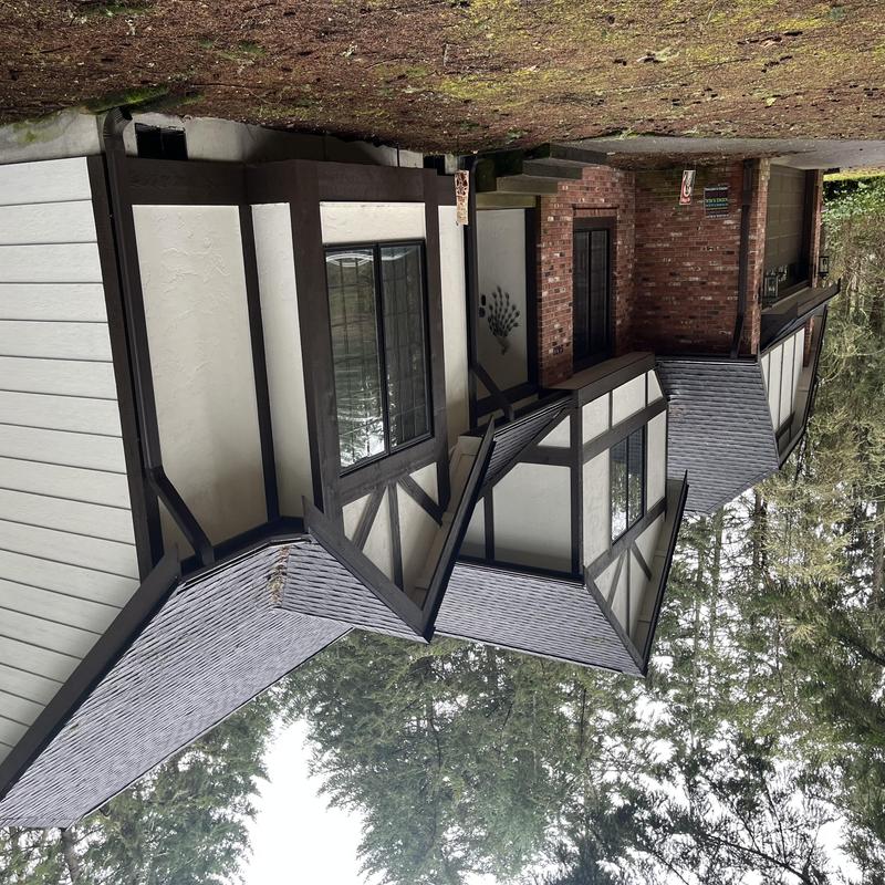 Gutters on Tudor-style home with clogged guards