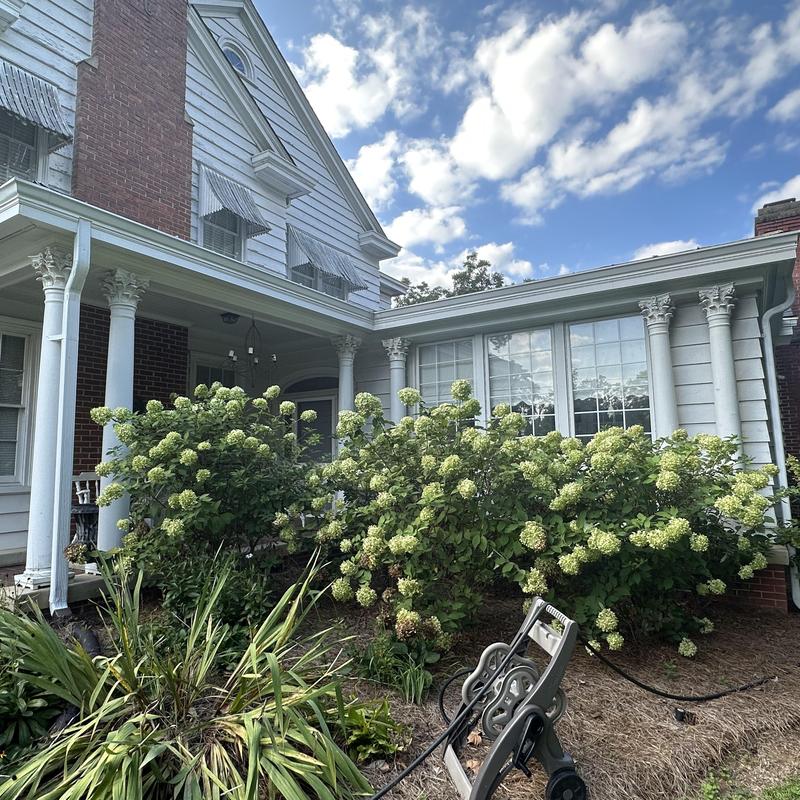 Front columns and gutters renovation on historic home