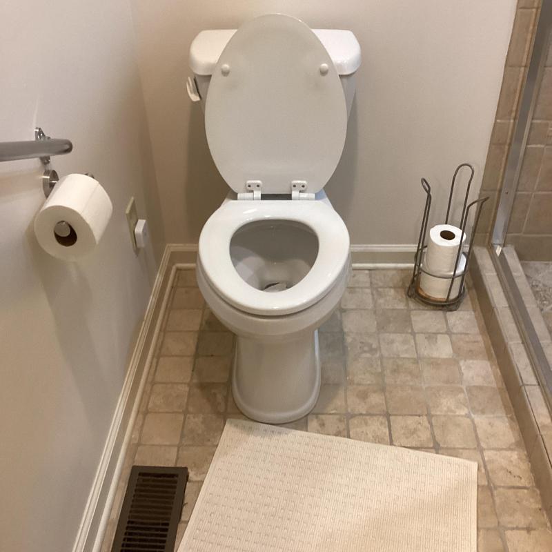 Toilet with open lid in bathroom near shower and toilet paper holder