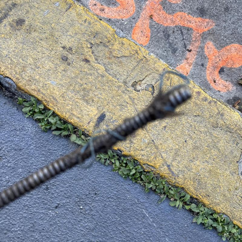 Floor drain snake with debris removed, San Francisco