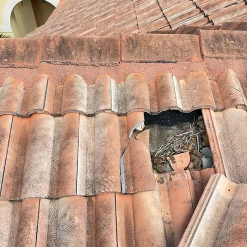 Concrete tile roof with broken and missing tiles