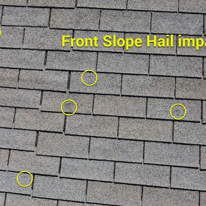 Asphalt shingle roof with hail impact marks