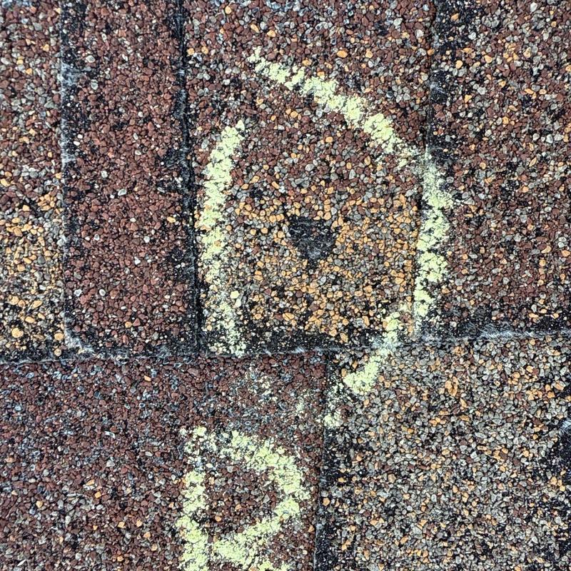 Asphalt shingle hail damage marked on roof surface