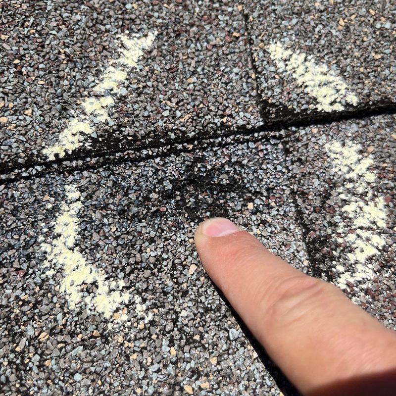 Roof shingle hail damage with marked granule loss