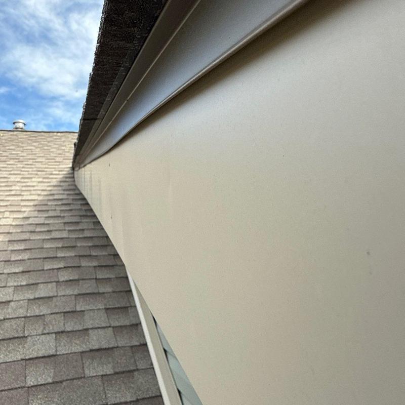 Roof gutter and fascia inspection on shingle roof