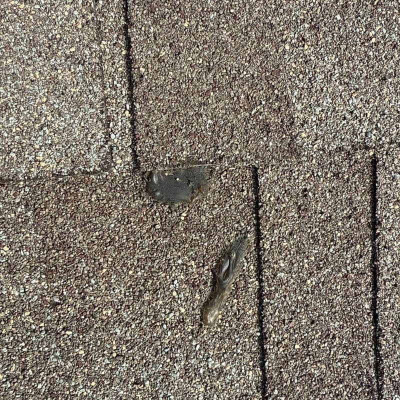 Asphalt shingle roof with hail damage and soft spots