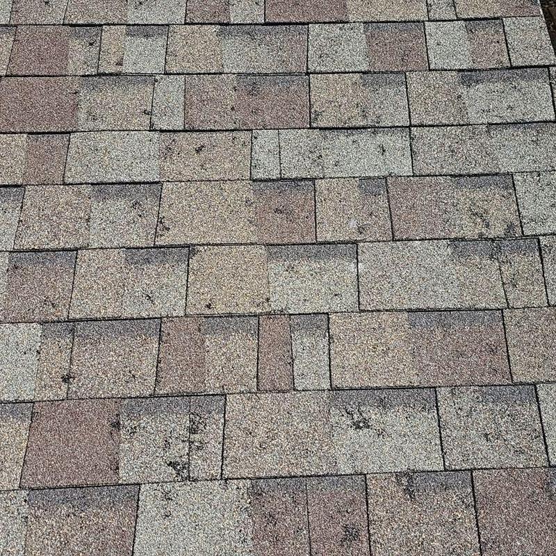 Shingle roof with scattered hail damage marks Shingle roof with scattered hail damage marks