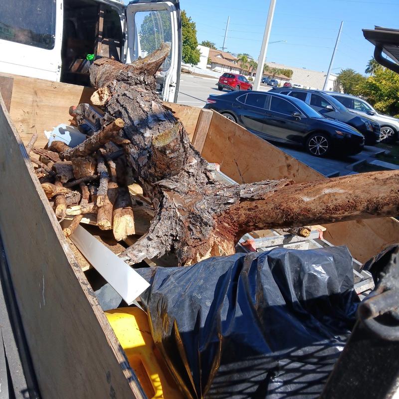 Fallen tree log and branches in truck bed