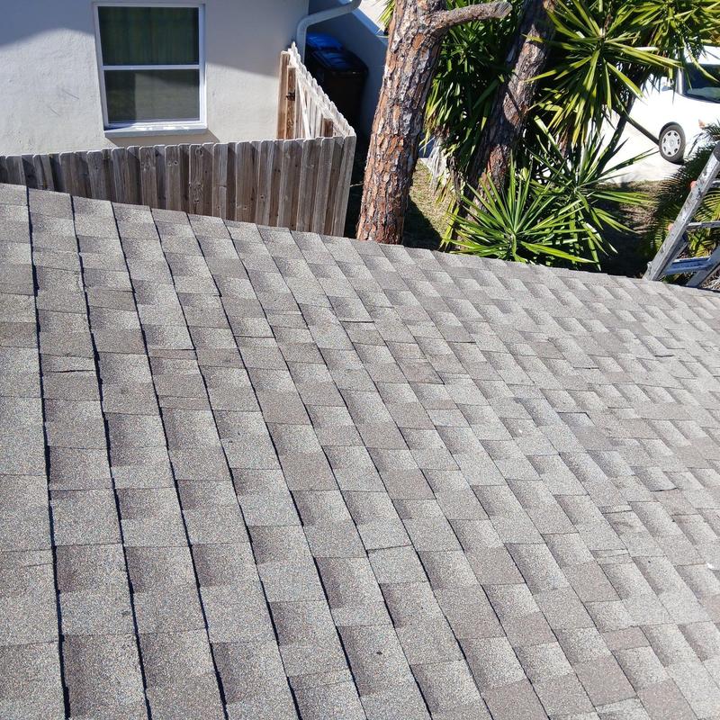 Shingle roof with emergency tree impact repair, Cape Coral