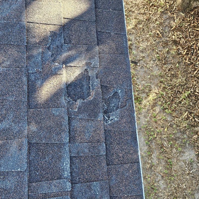 Shingle roof with damaged and missing granules near edge