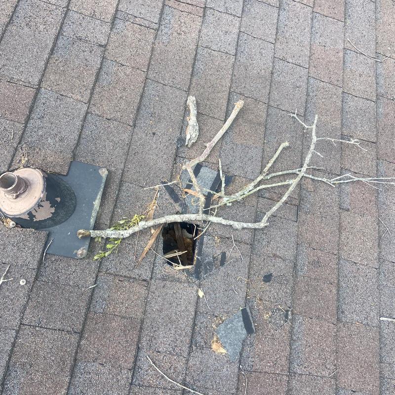 Roof shingles with hole and tree branch debris