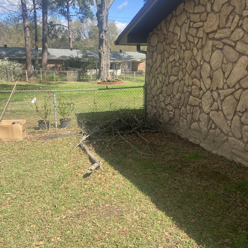 Chain link fence with fallen branches near house wall