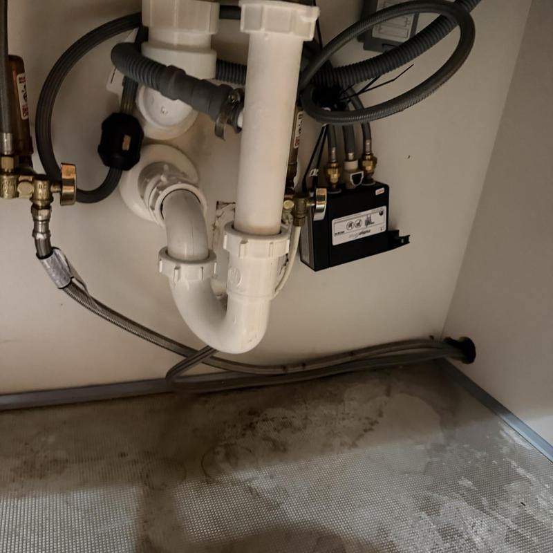 Kitchen sink drain pipes with dishwasher hose installed