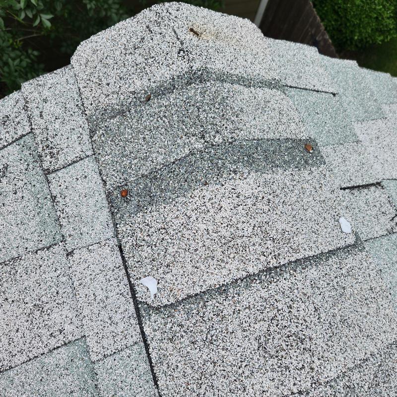 Roof shingle with exposed rusted roofing nails and sealant