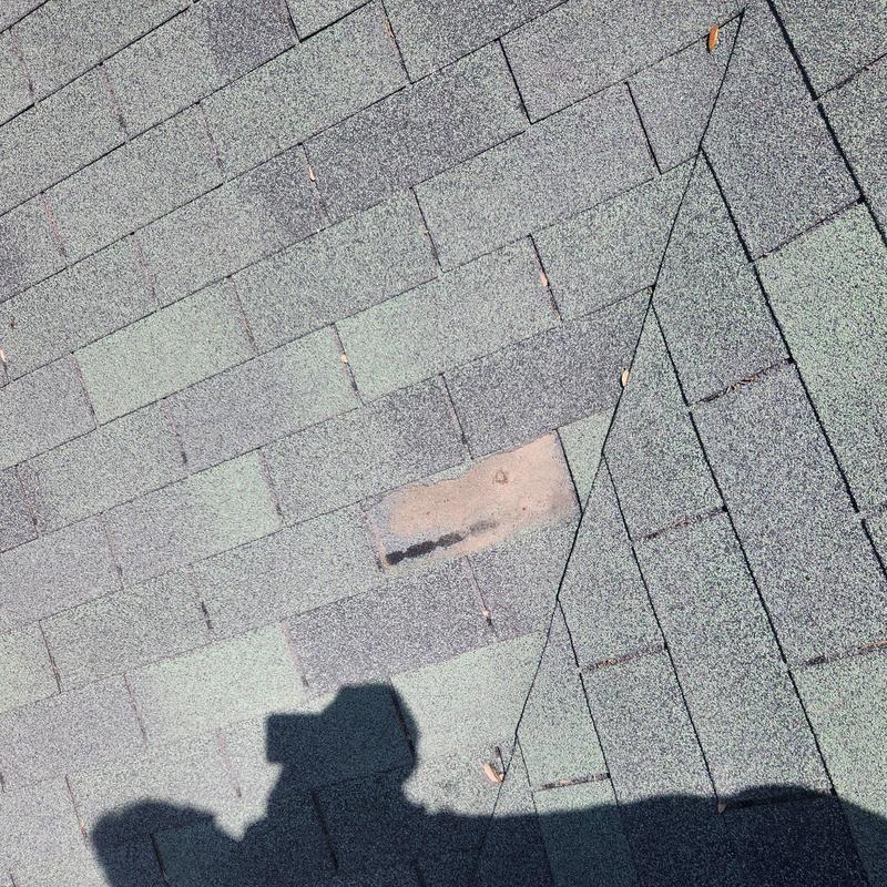 Asphalt roof shingle with wear and damage visible