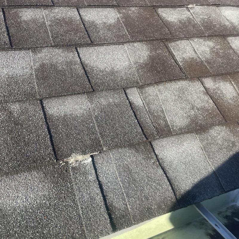 Asphalt shingles with damaged granules and tear