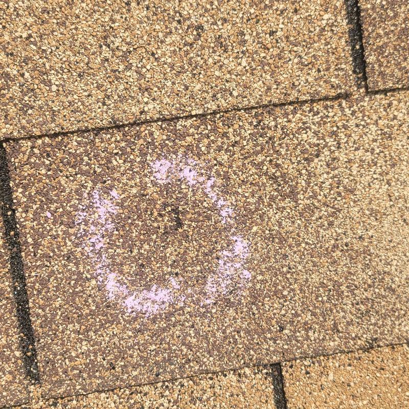 Asphalt shingle granule loss marked for hail damage