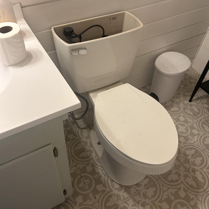 Toilet tank and floor seal replacement in bathroom