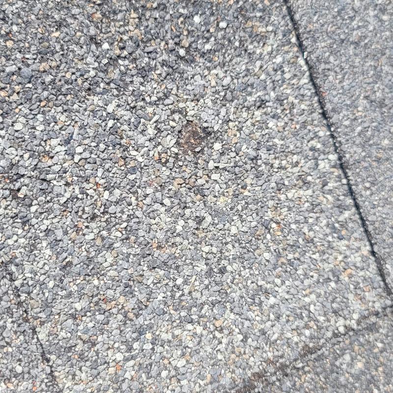 Asphalt shingle roof with hail damage impact spot