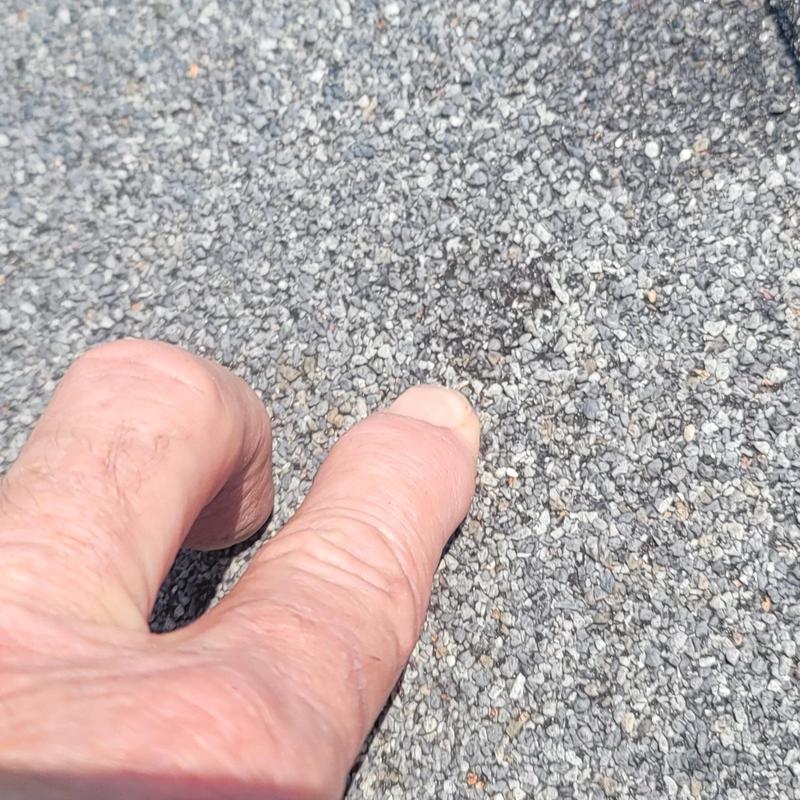 Roof shingle hail damage close-up with finger for scale