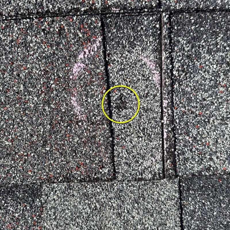 Asphalt shingle roof hail damage marked with circle