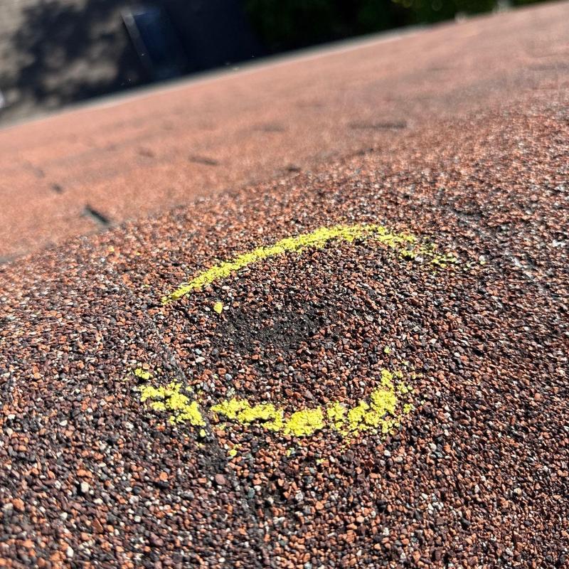Asphalt shingle roof with marked hail damage spot