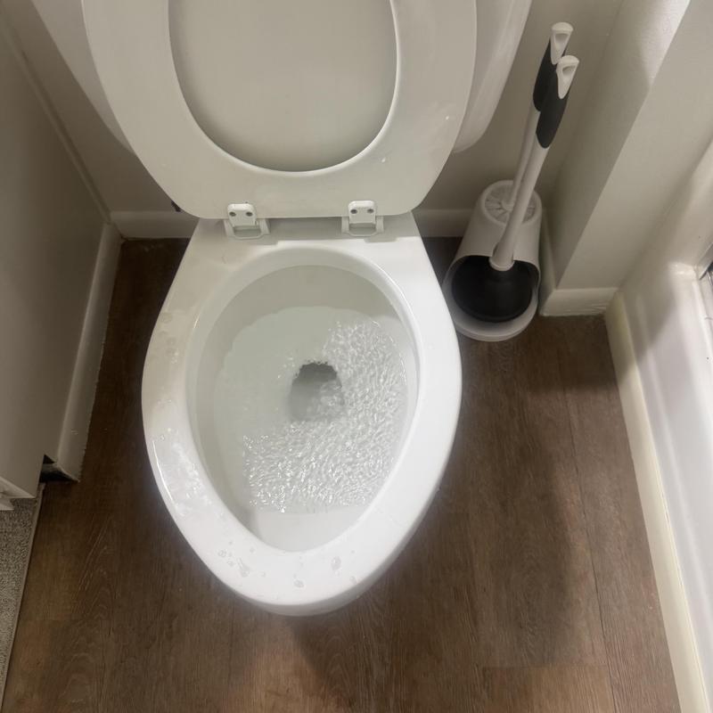 Toilet flushing with slow draining and plunger nearby