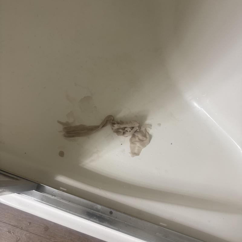 Toilet clog with wipes inside bowl, Sun City AZ