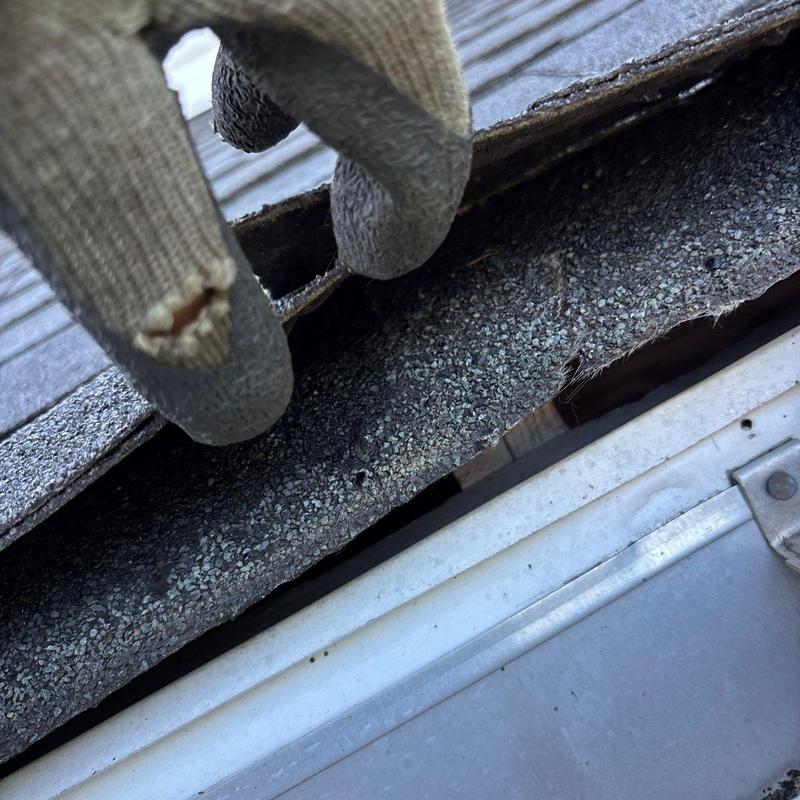 Asphalt shingle damaged by hail next to gutter system
