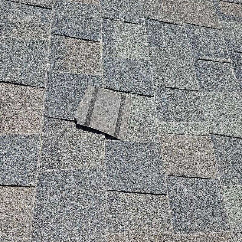 Asphalt shingle roof with lifted damaged shingle Asphalt shingle roof with lifted damaged shingle