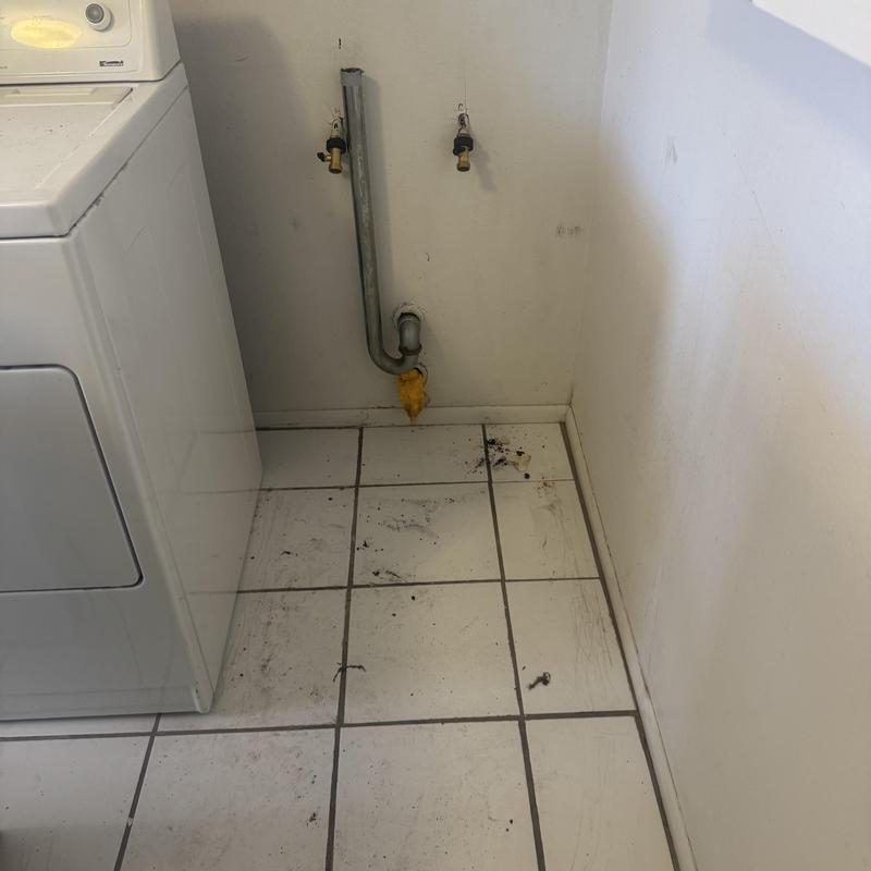 Laundry drain pipe and water supply valves with dirty floor