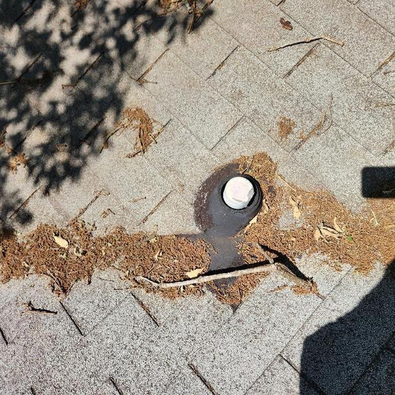 Plumbing boot on damaged 3-tab shingle roof with debris Plumbing boot on damaged 3-tab shingle roof with debris