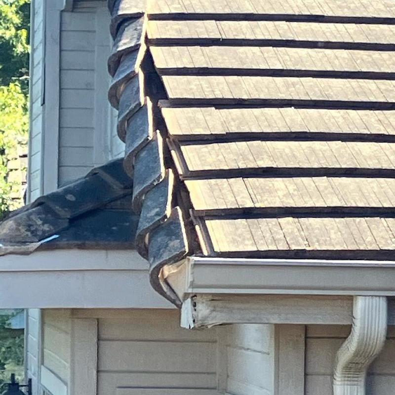 Concrete tile roof and damaged fascia board close-up