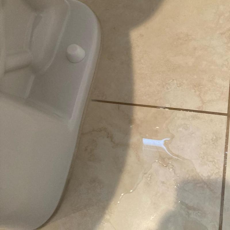 Toilet base with leaking water on tiled floor Toilet base with leaking water on tiled floor