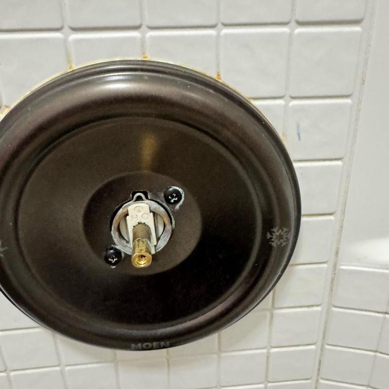 Shower valve cartridge replacement and cleaning