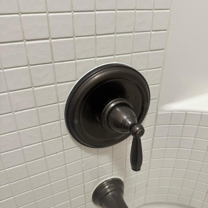 Shower valve handle and cartridge replacement Queen Creek
