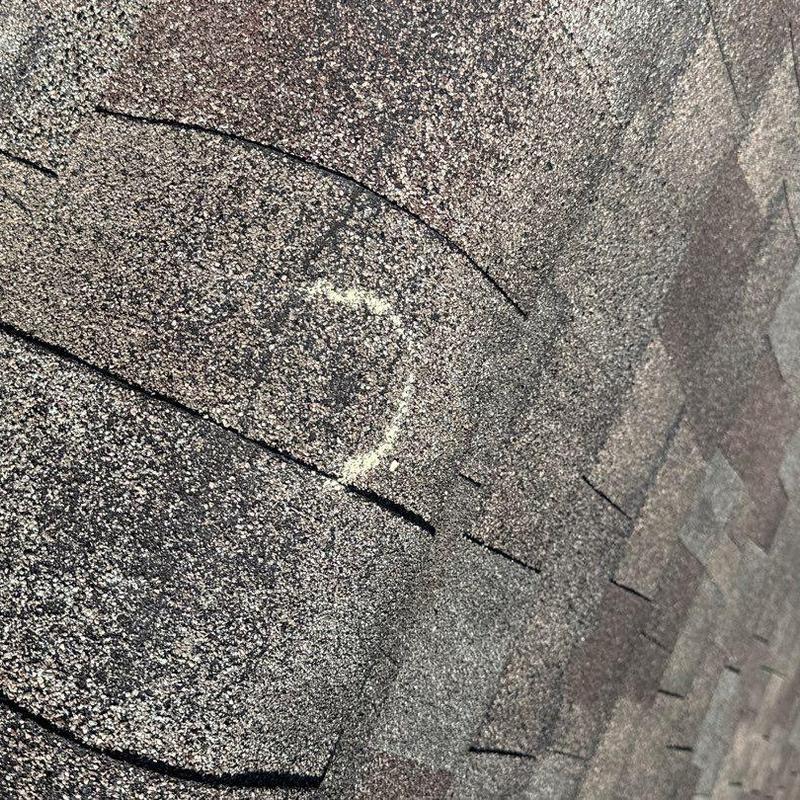 Hail-damaged asphalt roof shingles with marked areas