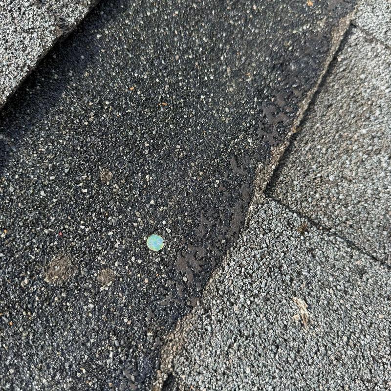 Roof shingles close-up showing damaged underlayment installation