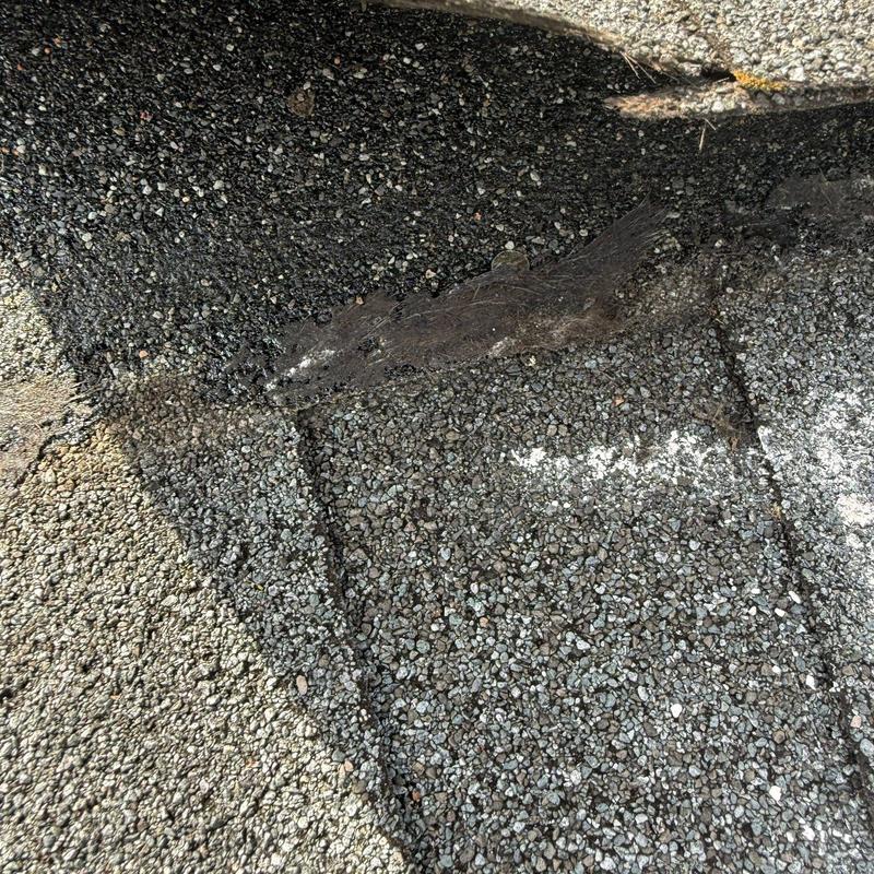 Roof shingles with damaged underlayment and wear