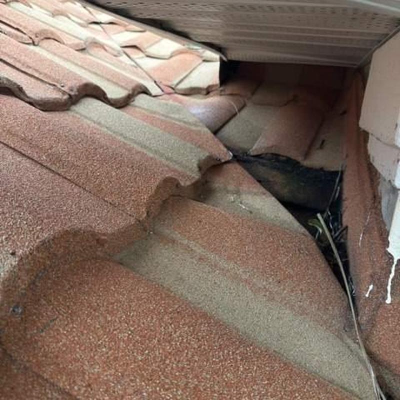 Stonecoated steel roof with damaged panels and rot