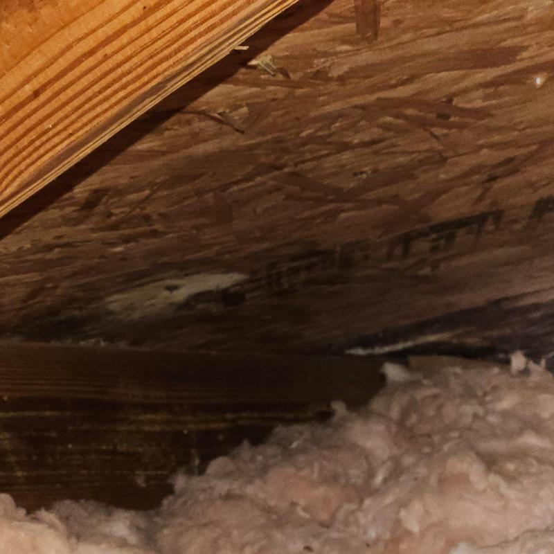 Oriented strand board roof decking with water damage