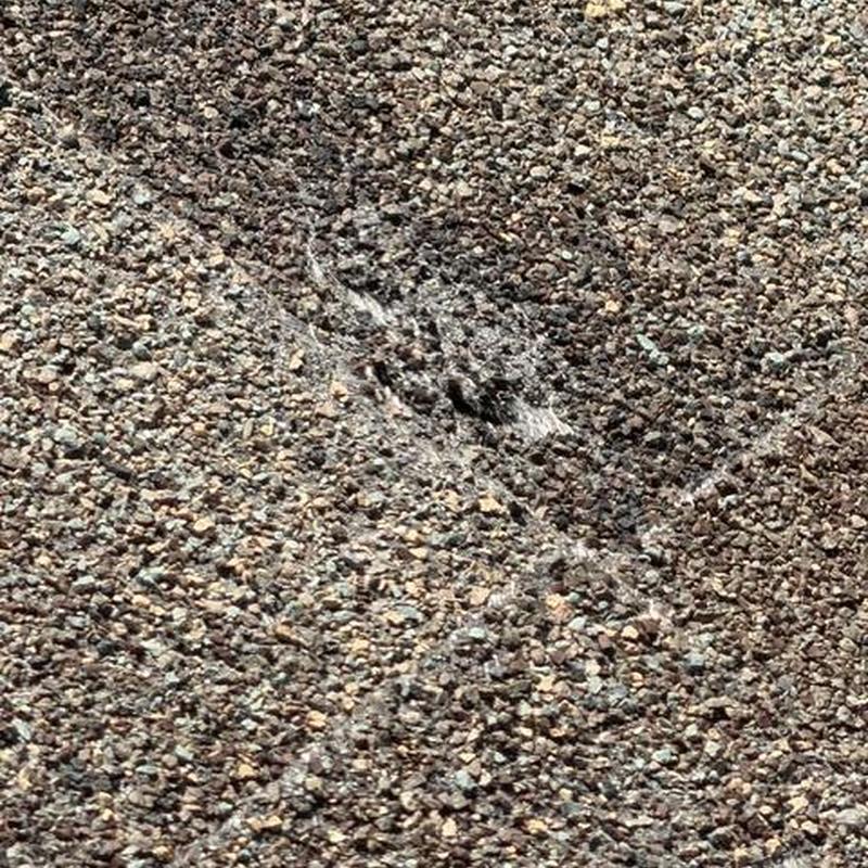 Asphalt shingle roof close-up showing granule loss damage