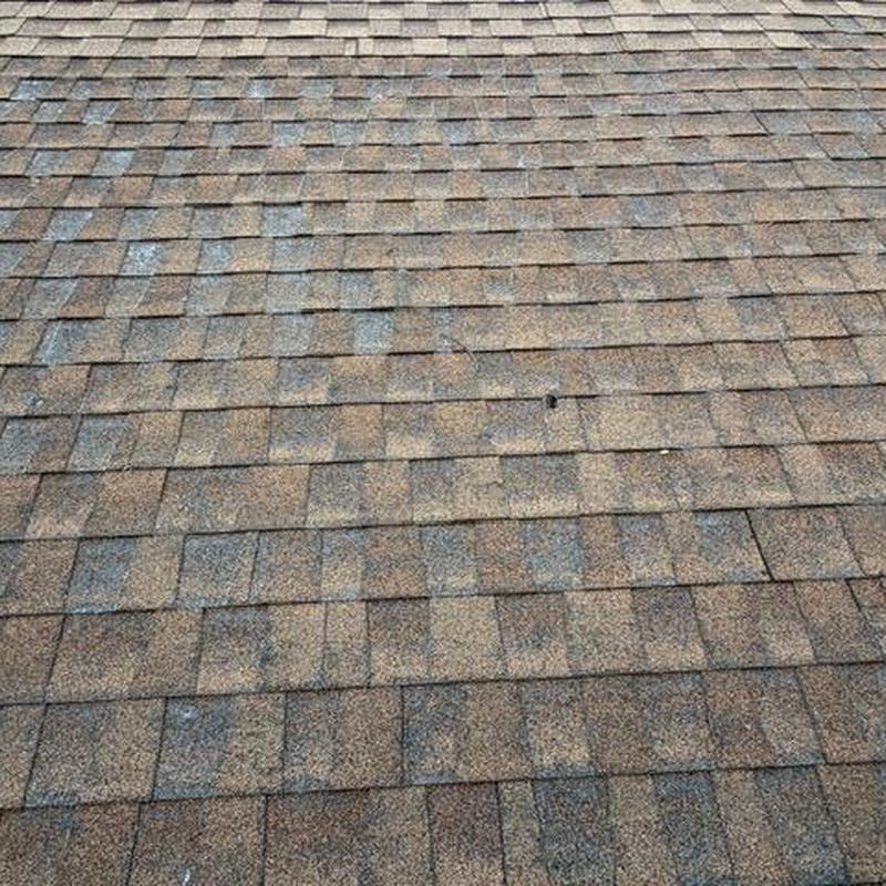 Asphalt shingle roof surface showing wear and granule loss