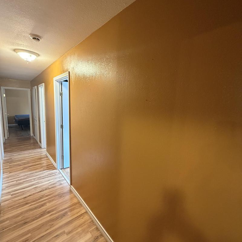 Sheetrock wall with fresh gold paint in hallway