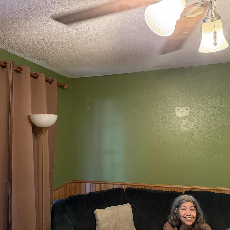 Sheetrock wall with fresh texture and olive paint
